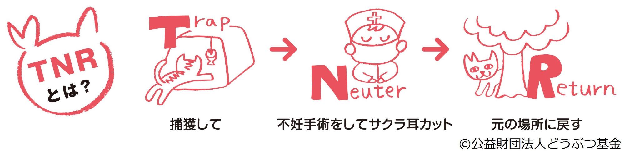 TNRとはのフロー図
