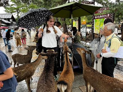 リズモー学生が奈良公園で鹿に鹿せんべいをあげている様子