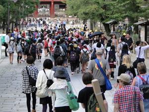 石畳の通路を大勢の人が歩いている風景写真