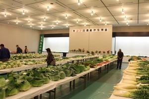 部屋に並ぶ大きな机の上に大根やキャベツニンジンなどいろいろな野菜が並べられている写真