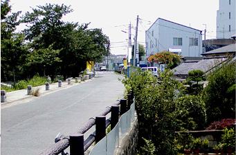 道路両脇に木々と建物が並んだカーブに差し掛かった道路を写した写真