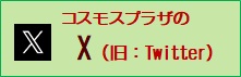 コスモスプラザのエックス