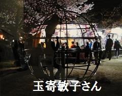 夜の祭りの露店をバックに、桜の木の下の回転ジャングルジムで遊ぶ子供たちの影を写した写真部門の大賞受賞作品