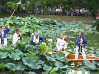 池の中の大きな蓮の葉の間を、蓮取り舟に乗って進んでいる修験者と青色の法被を着ている男性達の写真