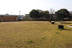 芝生が生え広々とした芝生広場の写真