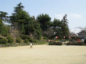 広い広場が手前にあり、奥には木々や建物が見える築山公園の写真
