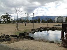 芝生公園が広がる右手前に石で囲まれた池がある大和高田市総合公園の写真