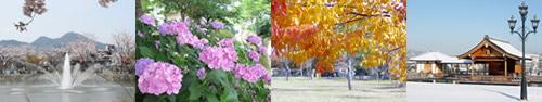 左から、奥に桜の花が咲き、手前で噴水の水が吹き上がっている写真、ピンクのアジサイの花が沢山咲いている写真、木の葉っぱが赤や黄色に紅葉している写真、地面や屋根に雪が積もって白くなっている写真