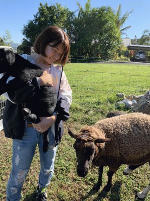 黒い犬を抱いた女性が牧草の茶色の毛の羊を見ている写真