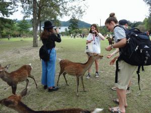 奈良公園の鹿と記念撮影したり、鹿にえさをあげている学生の写真
