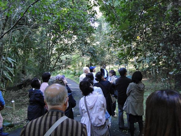 植物園を散策している人達を後方から写した写真