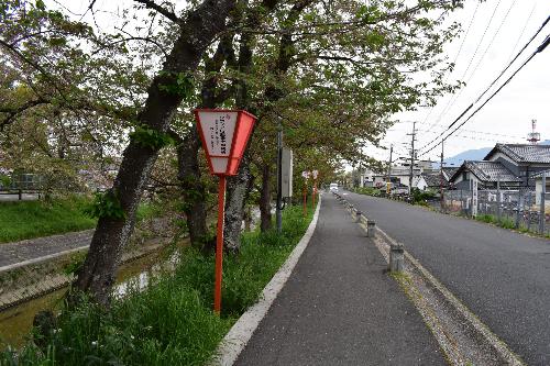 高田川沿いの様子