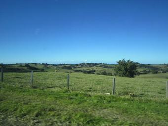 雲一つない青空の下に広がっている広い草原の写真