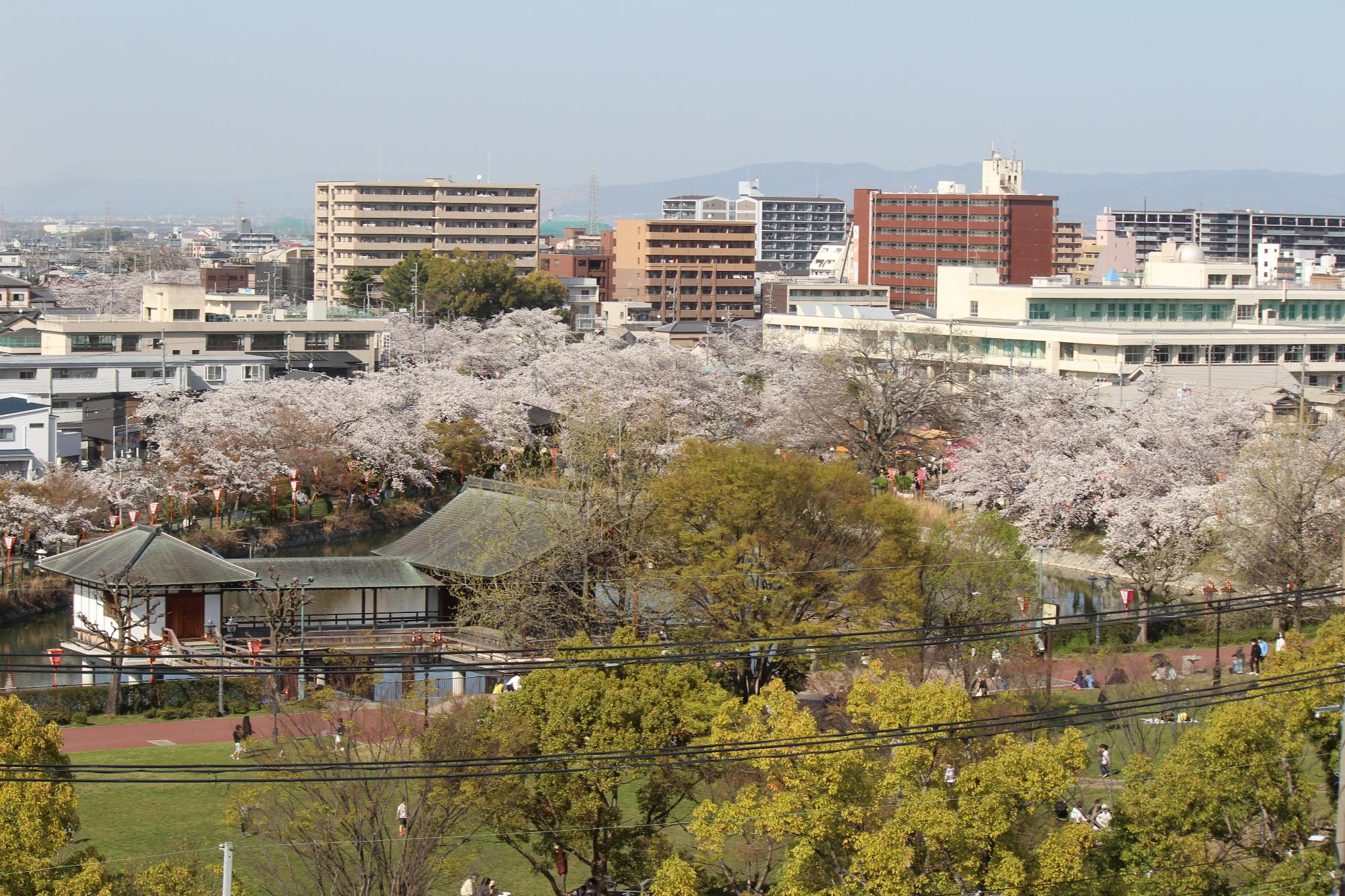 上から見た大中公園のようす