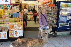 店舗入り口で待つ外国人女性の前に1頭の鹿が近づいている写真