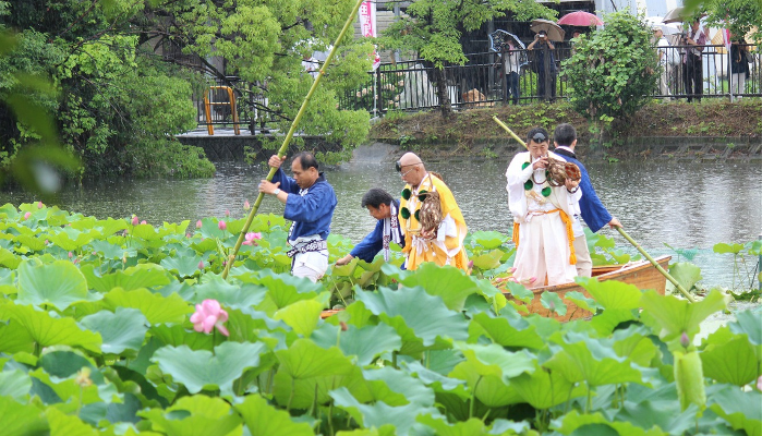 奥田の蓮取り行事写真