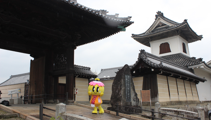 専立寺の入口でのみくちゃん写真