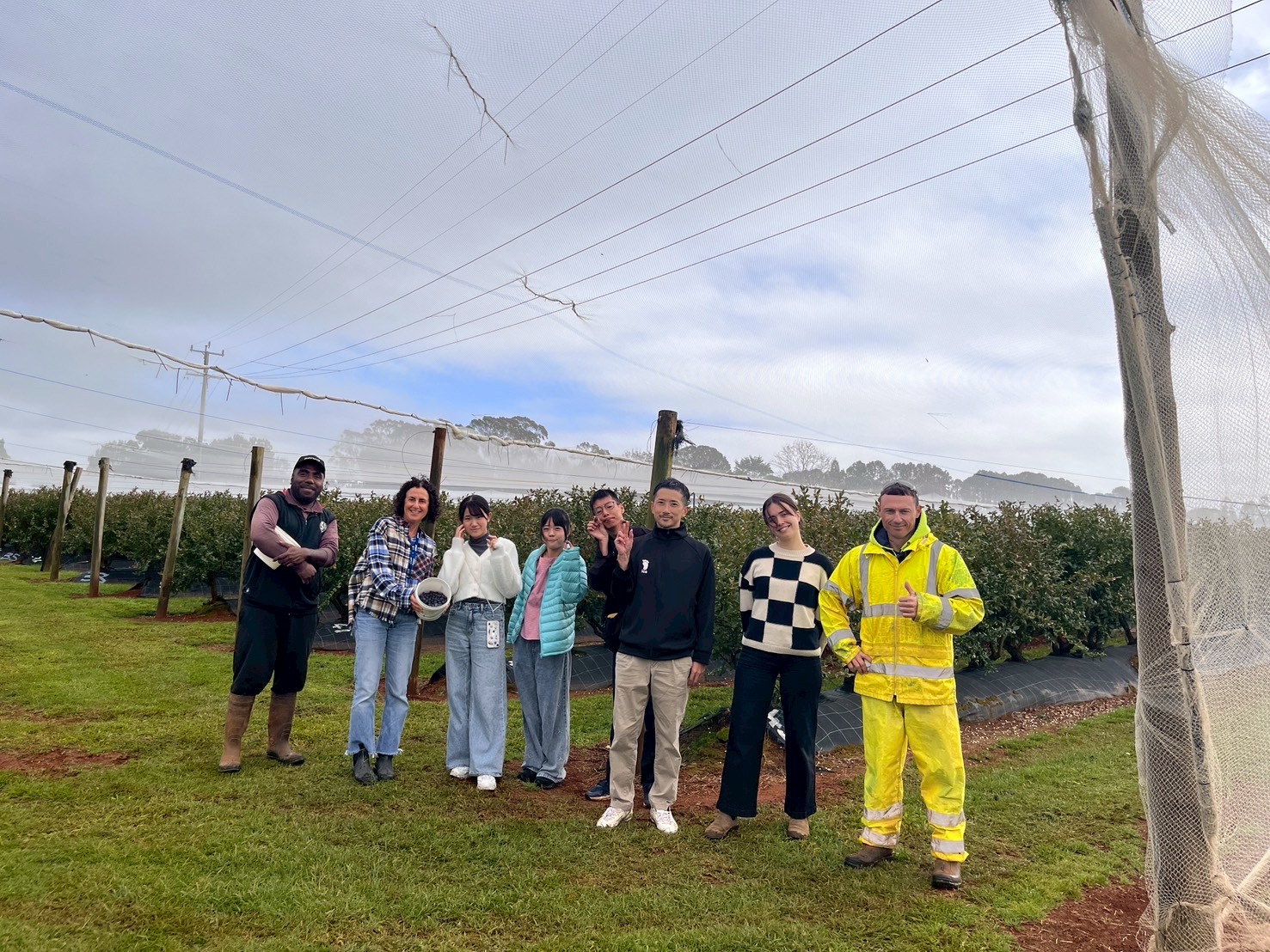 大和高田市からの派遣学生と引率教師1名が、マウンテンブルーベリーを栽培している農場を訪問し、おいしいブルーベリーを食べさせていただきました。