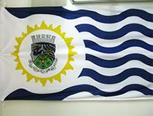 右側に太陽のようなマークと白と紺で波のような模様に見えるリズモー市の旗の写真