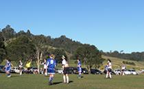 緑が広がる広場に青、白と黒のユニフォームを着た女子選手たちが競技をしている写真