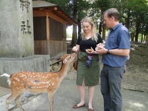 鹿に餌を手渡している女性と隣に立つ男性の外国人2名の写真