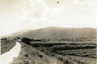 昔の高田川堤防から見える山並みを写した白黒写真