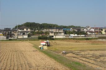 稲が刈り取られた田んぼを写した田園風景を撮影した写真