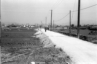 電信柱が並んだ畑の中のあぜ道を歩いている人達の昔の白黒写真