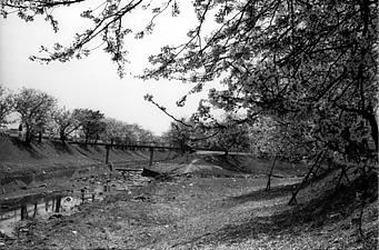 大中公園の北側の川の水がない合流地点を写した白黒写真
