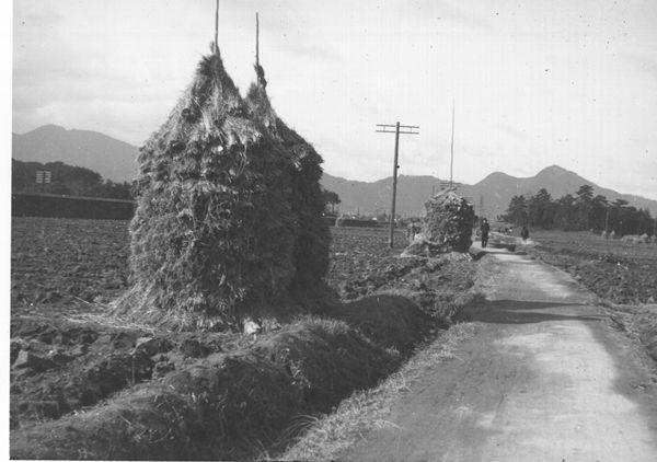 畑の端に藁が数か所積まれていてその横の道の奥を歩いている人がいる白黒写真