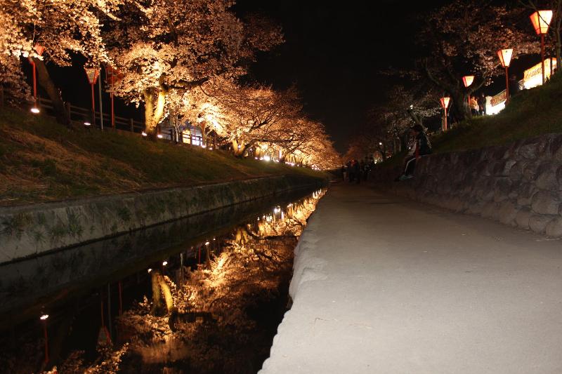 川と右側に遊歩道、両サイドには桜並木があり、右はぼんぼりのみ、左はぼんぼりとライトで照らされている夜桜の写真