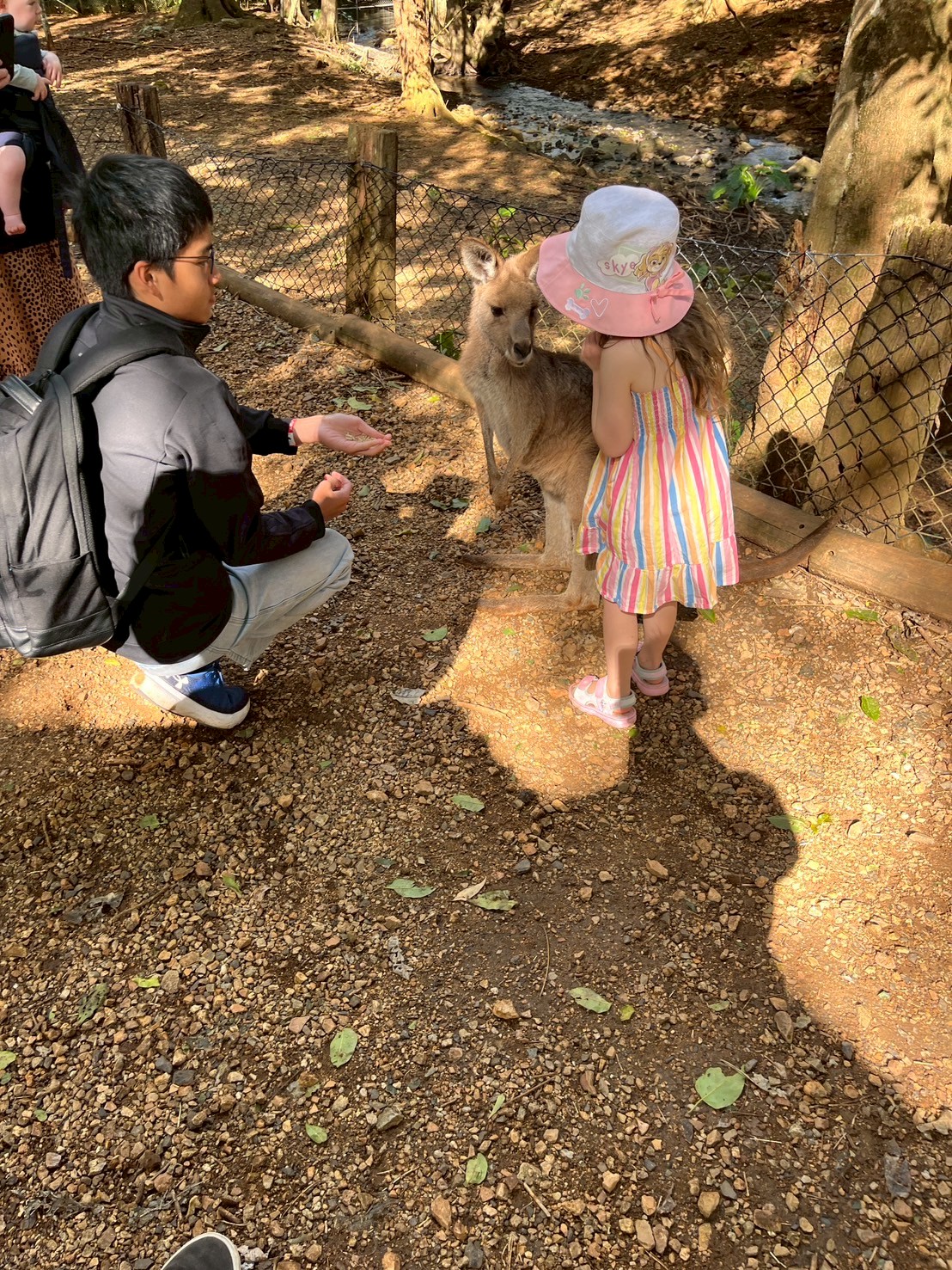 大和高田市からの派遣学生4名と、引率教師1名が、バイロンベイ自然動物保護区を訪問し、いろんな動物を見ました。
