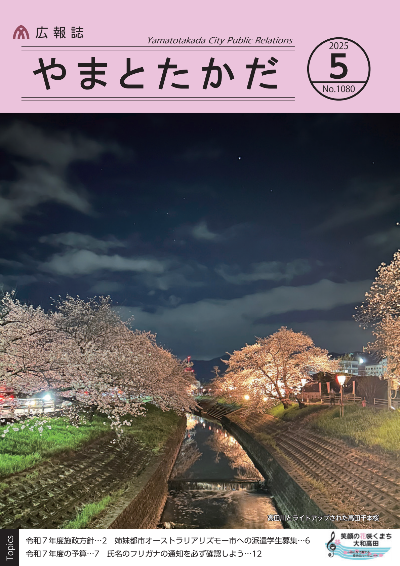 夜空とともに写された高田川沿いに咲くライトアップされた桜